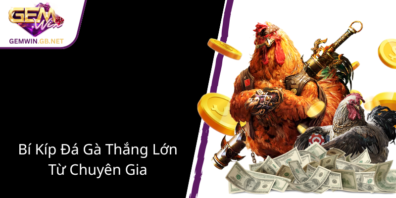 Đá Gà Giải Campuchia Tại GEMWIN - Sân Chơi Trực Tuyến Đẳng Cấp Thế Giới 3 Bi Kip Da Ga Thang Lon Tu Chuyen Gia