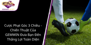 Cuoc Phat Goc 3 Chieu Chien Thuat Cua Gemwin Dua Ban Den Thang Loi Toan Dien