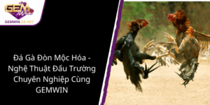 Da Ga Don Moc Hoa Nghe Thuat Dau Truong Chuyen Nghiep Cung Gemwin