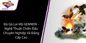 Da Ga Lai My Gemwin Nghe Thuat Chien Dau Chuyen Nghiep Va Dang Cap Cao