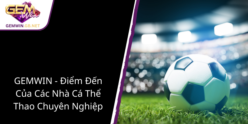 Bóng Đá Đông Nam Á - Cuộc Chơi Sôi Động Và Cơ Hội Dành Cho Người Yêu Thể Thao 3 Gemwin Diem Den Cua Cac Nha Ca The Thao Chuyen Nghiep1