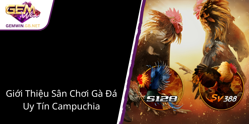Đá Gà Giải Campuchia Tại GEMWIN - Sân Chơi Trực Tuyến Đẳng Cấp Thế Giới 1 Gioi Thieu San Choi Ga Da Uy Tin Campuchia 1