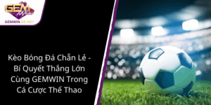 Keo Bong Da Chan Le Bi Quyet Thang Lon Cung Gemwin Trong Ca Cuoc The Thao
