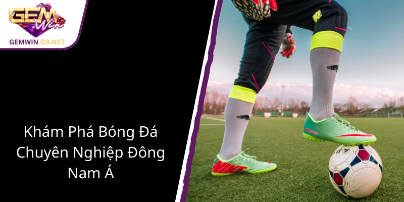 Bóng Đá Đông Nam Á - Cuộc Chơi Sôi Động Và Cơ Hội Dành Cho Người Yêu Thể Thao 1 Kham Pha Bong Da Chuyen Nghiep Dong Nam A1