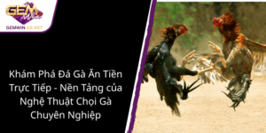 Kham Pha Da Ga An Tien Truc Tiep Nen Tang Cua Nghe Thuat Choi Ga Chuyen Nghiep1