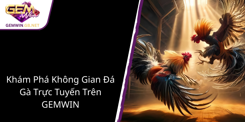 Đá Gà Đòn Mộc Hóa - Nghệ Thuật Đấu Trường Chuyên Nghiệp Cùng GEMWIN 3 Kham Pha Khong Gian Da Ga Truc Tuyen Tren Gemwin