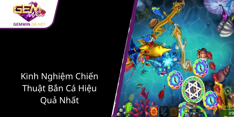 Khám Phá Bắn Cá Hồ Bơi - GEMWIN Đưa Trải Nghiệm Chơi Đổi Thưởng Lên Tầm Cao Mới 2 Kinh Nghiem Chien Thuat Ban Ca Hieu Qua Nhat