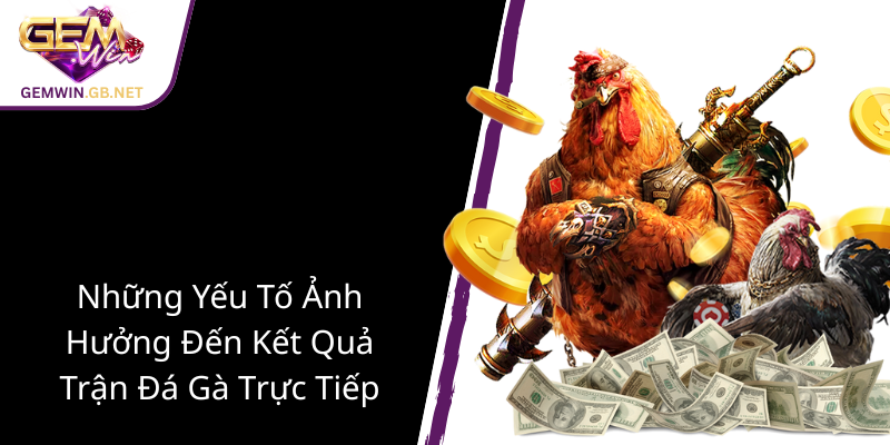 Khám Phá Thế Giới Đá Gà Ăn Tiền Trực Tiếp - Trải Nghiệm Đỉnh Cao Cùng GEMWIN 3 Nhung Yeu To Anh Huong Den Ket Qua Tran Da Ga Truc Tiep1