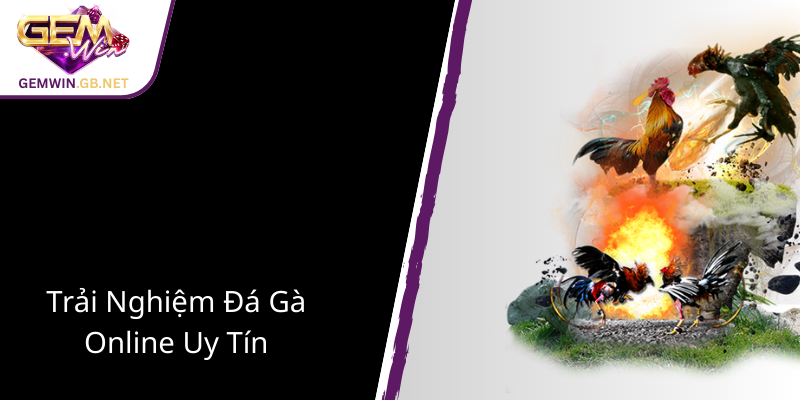 Khám Phá Thế Giới Đá Gà GEMWIN - Nơi Hội Tụ Những Cao Thủ Chân Chính 4 Trai Nghiem Da Ga Online Uy Tin1